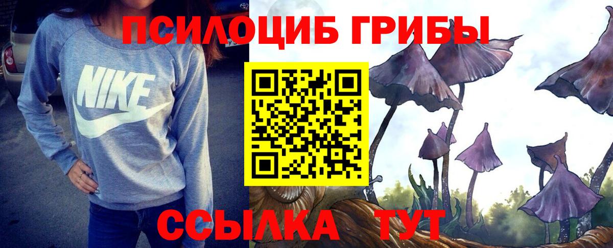 Калининград  купить   Вход с VPN  Галлюциногенные грибы Cubensis 