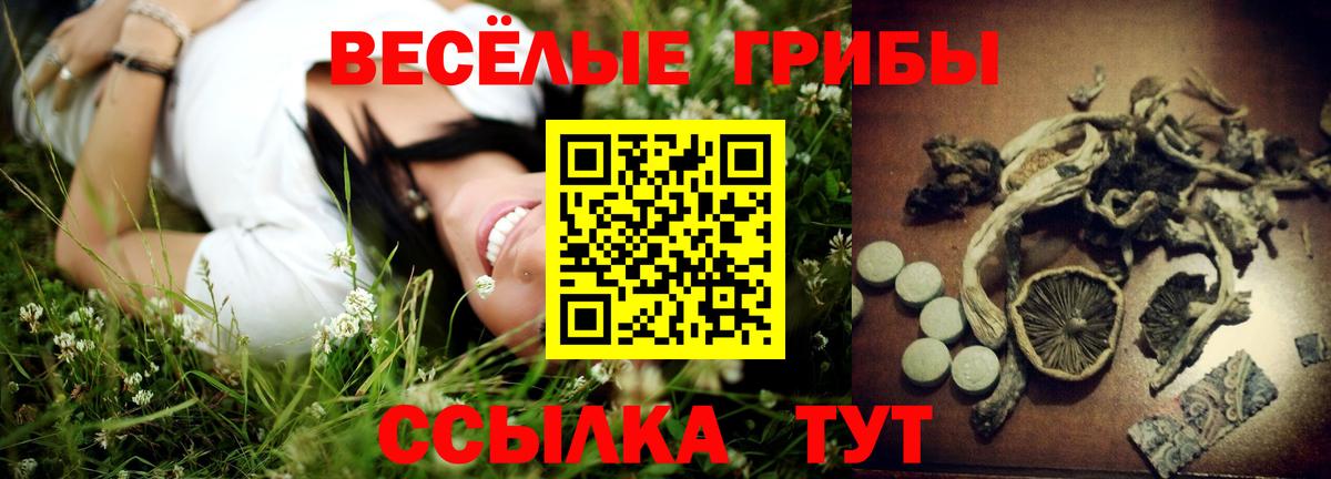 Галлюциногенные грибы ЛСД Калининград